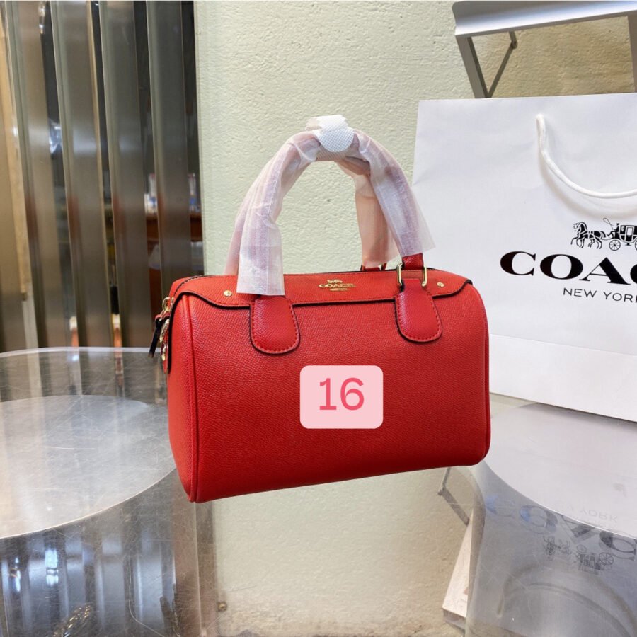 Coach - Image 16