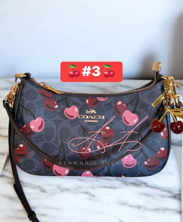 Coach🍒