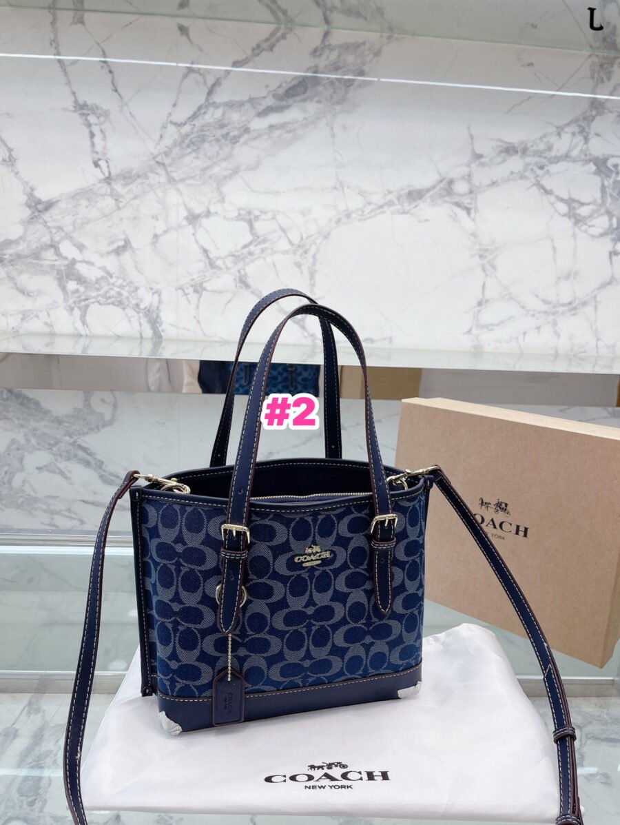 Coach - Image 2