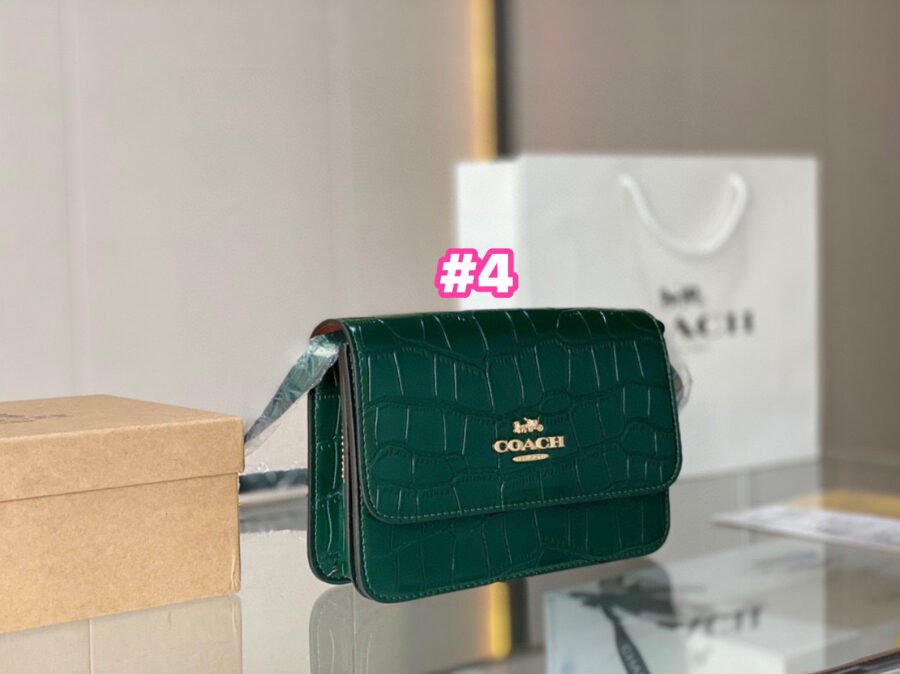 Coach - Image 4