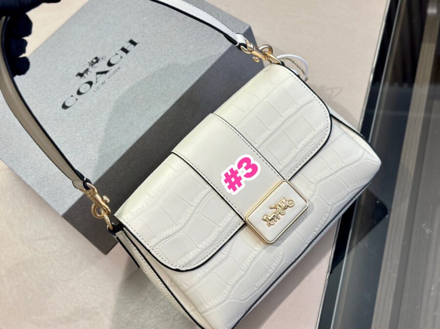 Coach - Image 3