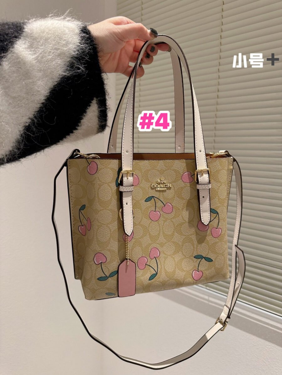 Coach - Image 4