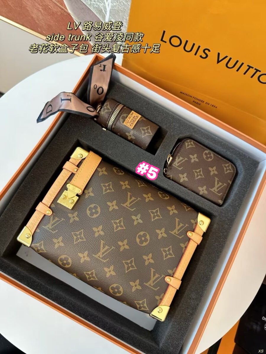 LV - Image 5