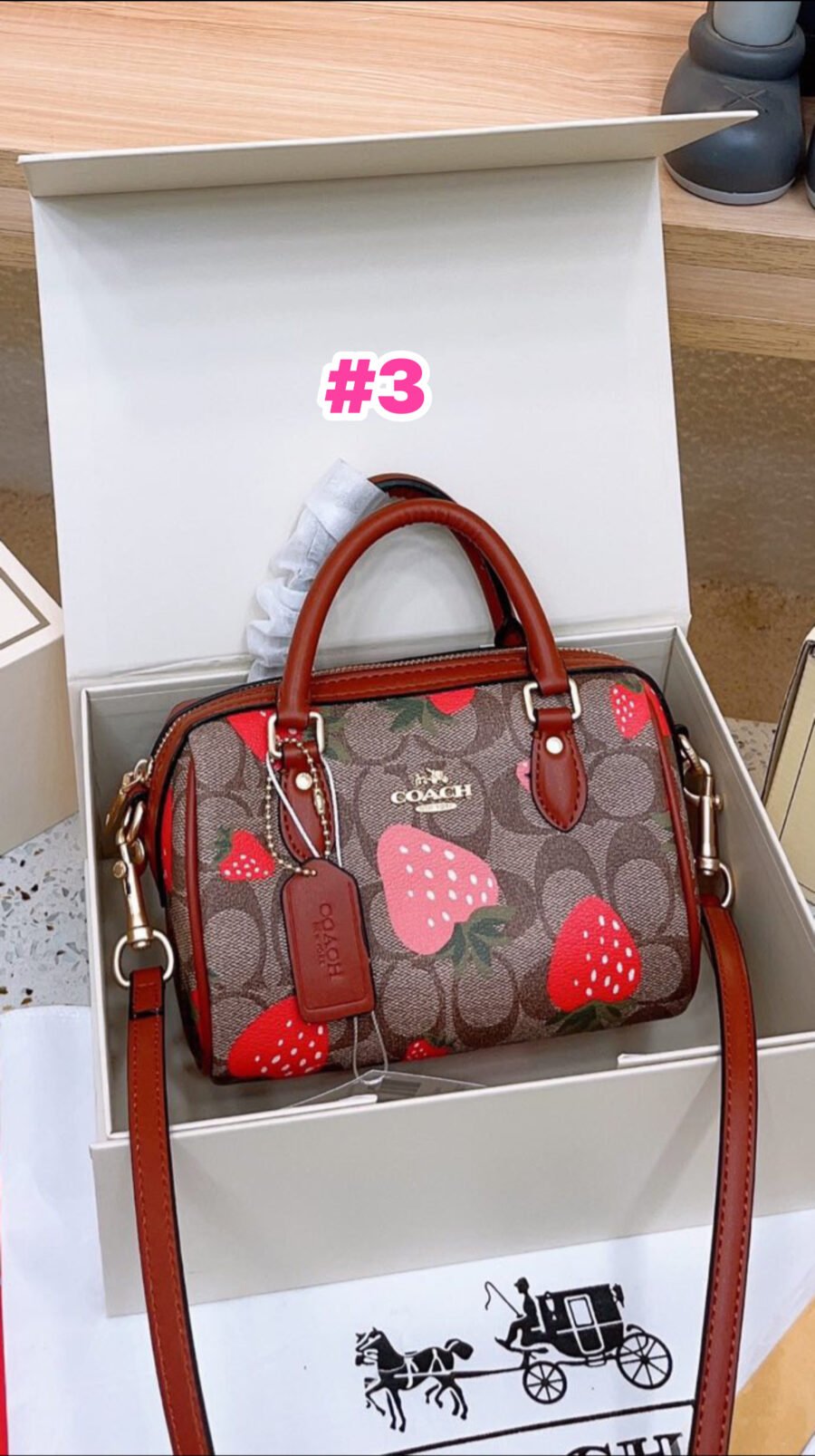Coach - Image 3