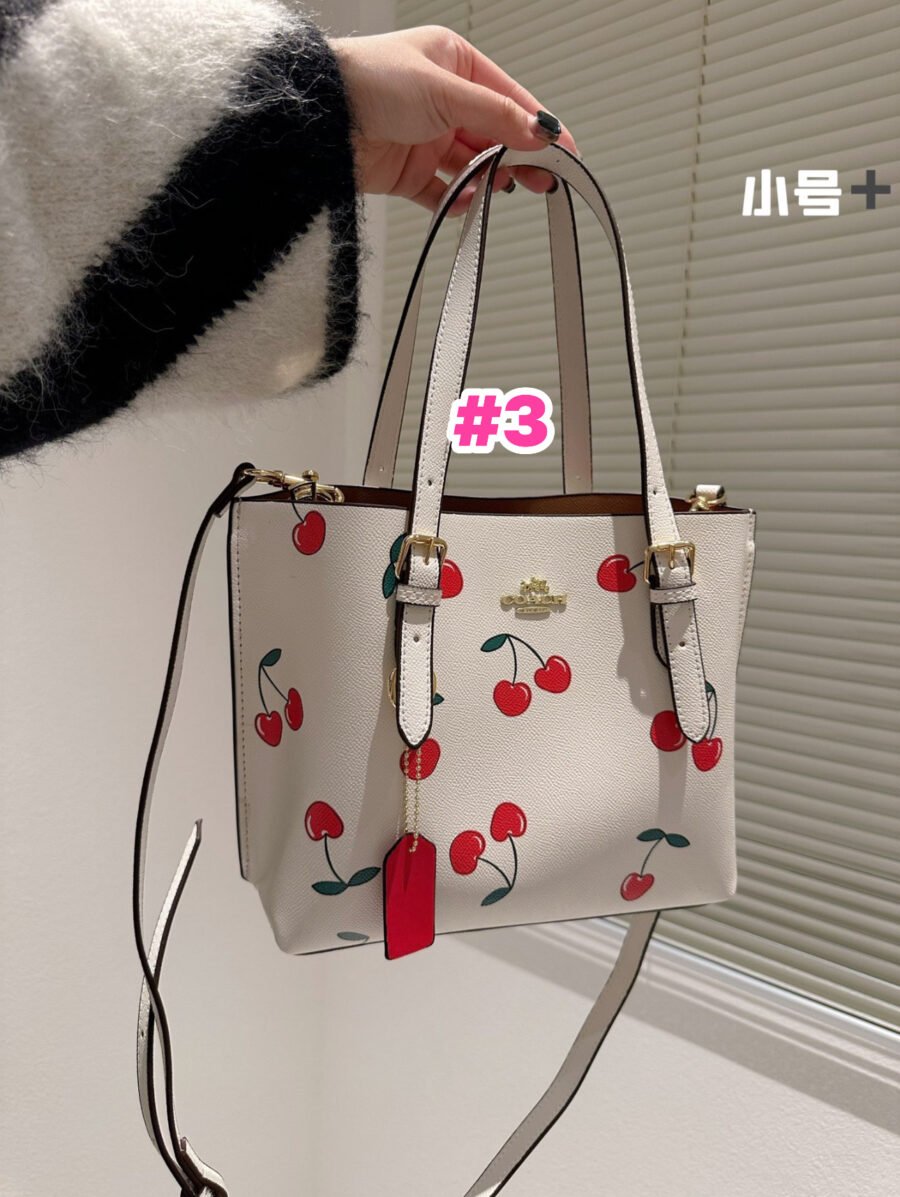 Coach - Image 3