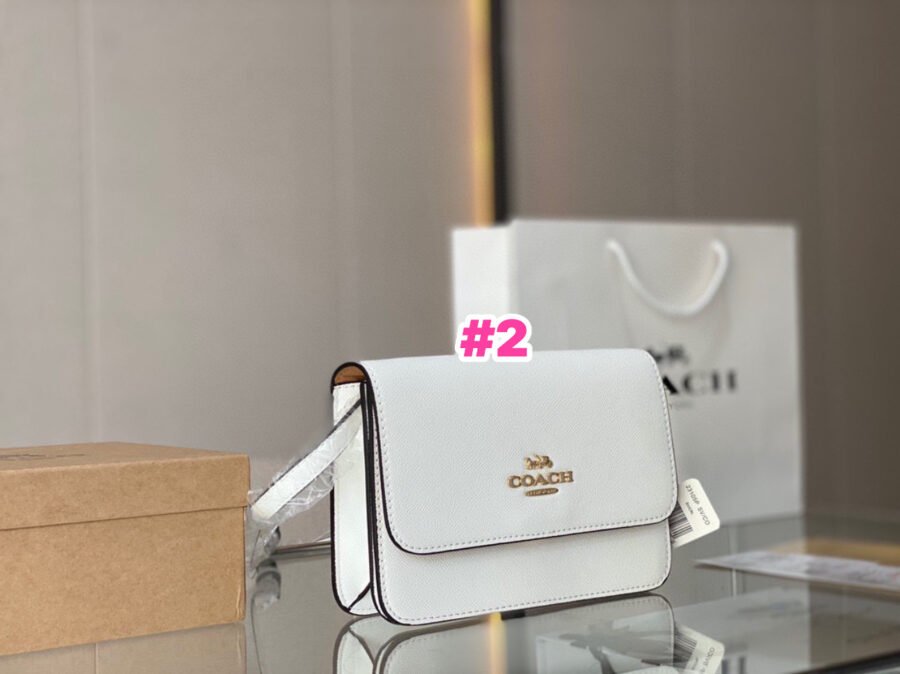Coach - Image 2
