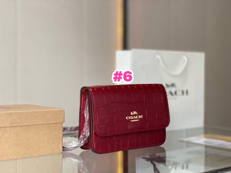 Coach - Image 6