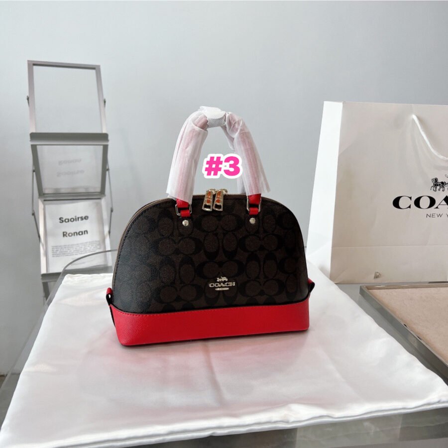 Coach - Image 3