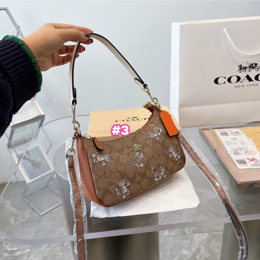 Coach - Image 3
