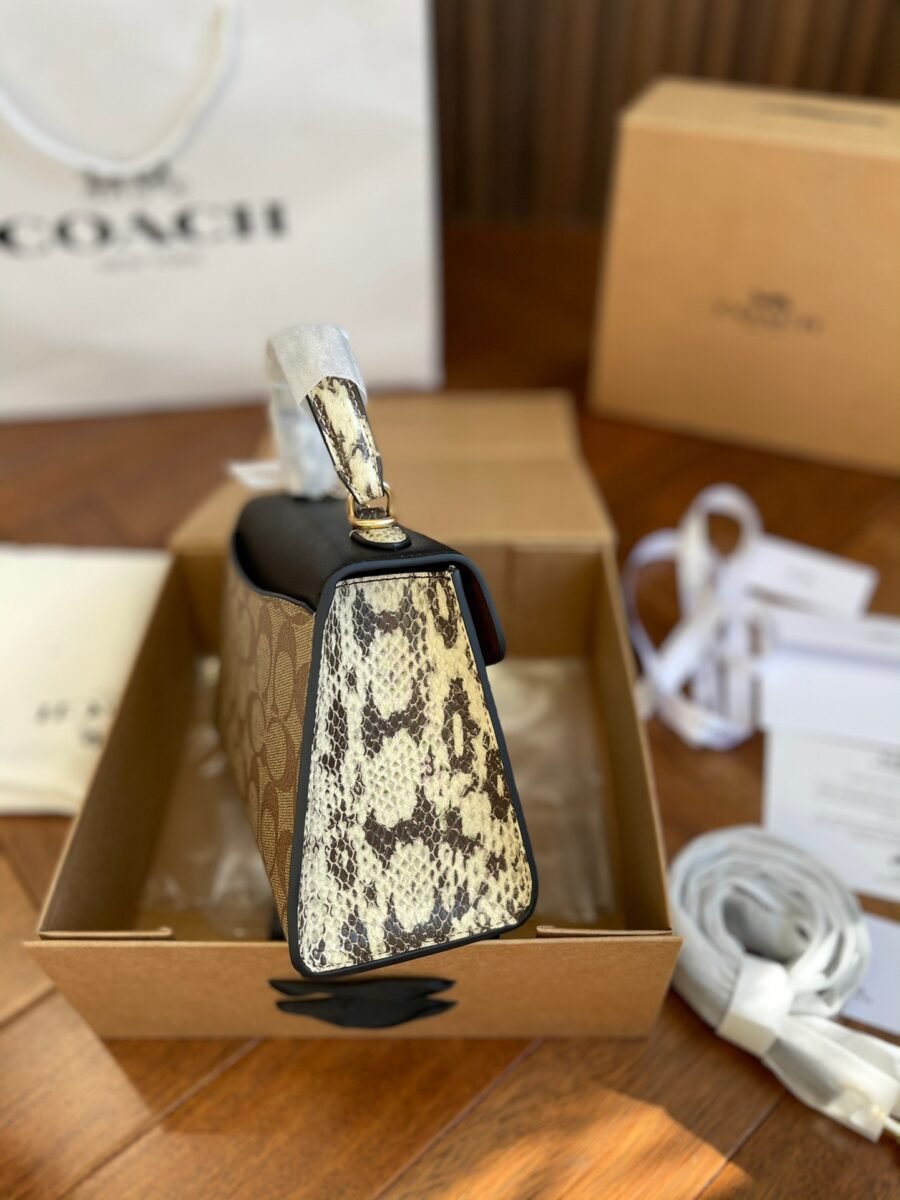Coach - Image 3
