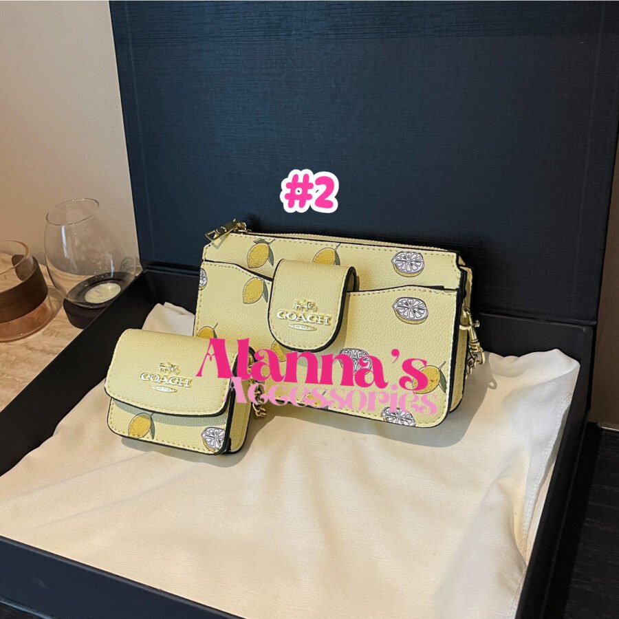 Set coach 😍✨🛍️ - Image 2