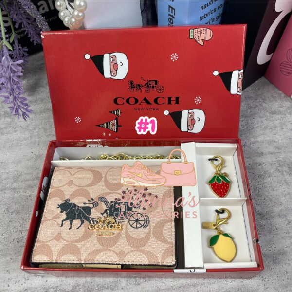 Coach cartera + llaveros 🛍️😍